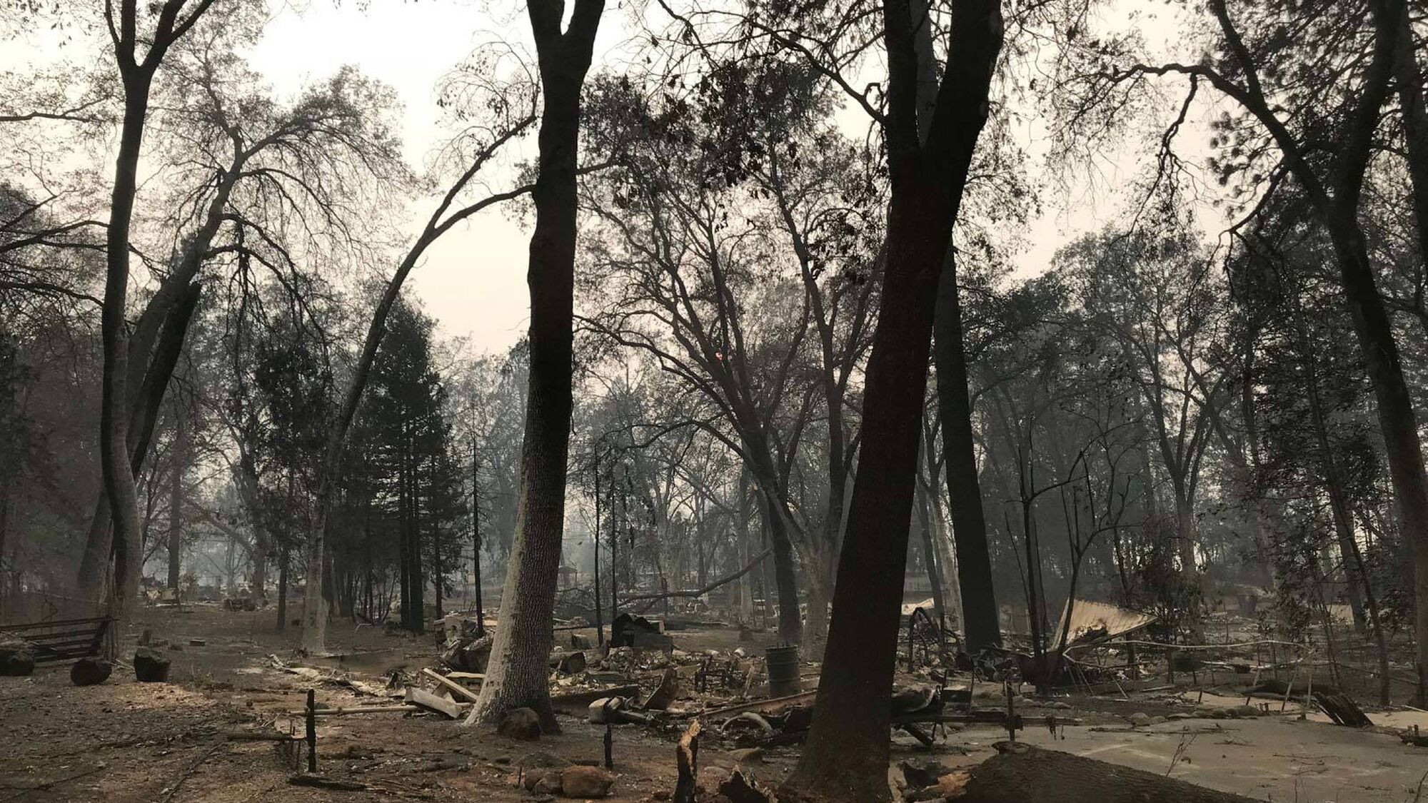 Writing to gratitude 1