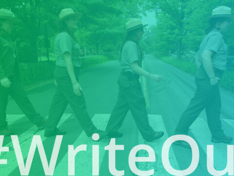 Writeout newsletter header rangers