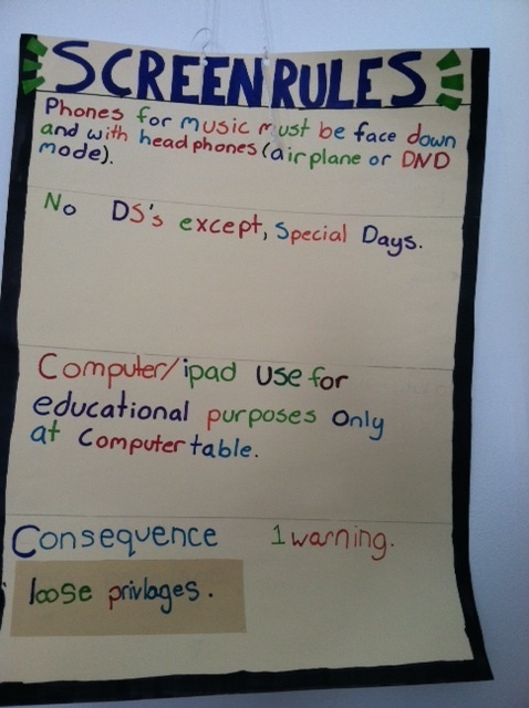 LRNG Birch School Screen Rules